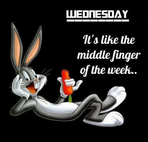 middle-finger-hump-day
