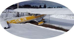 SnowyCessna