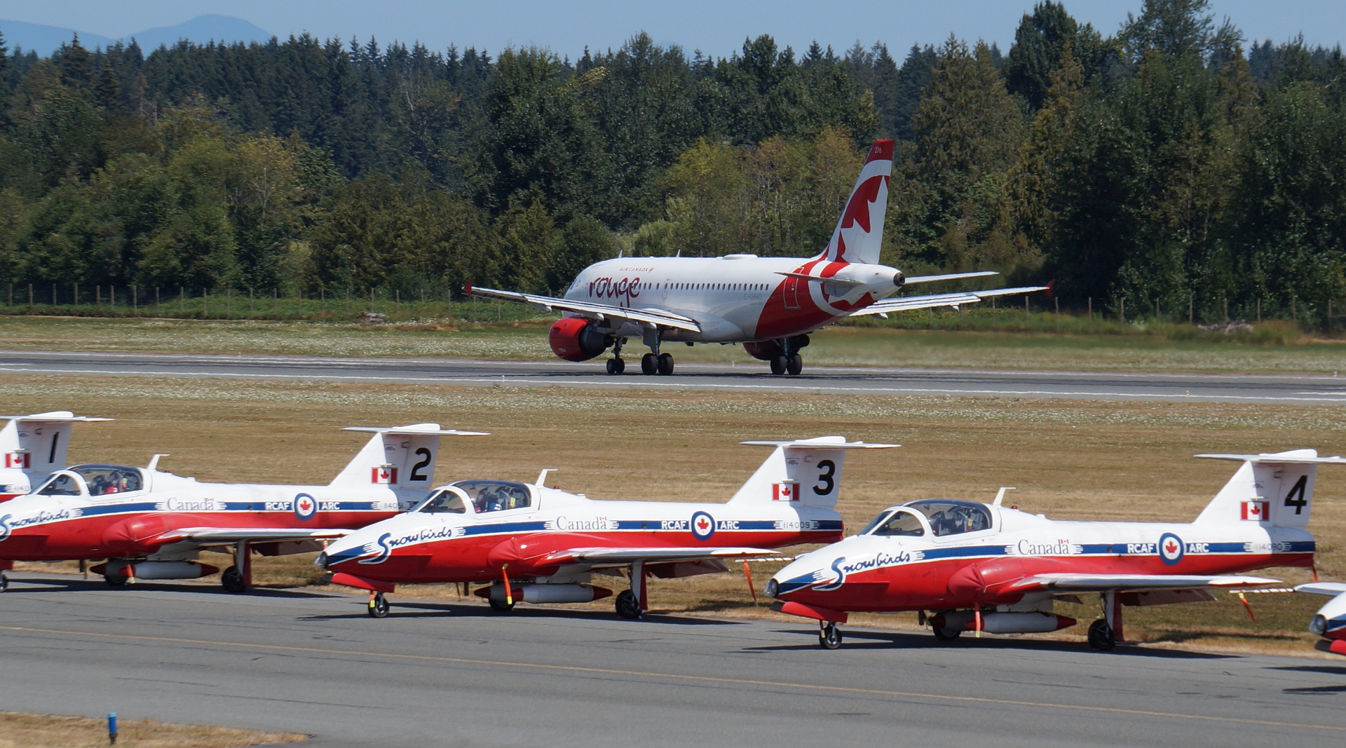 A319 and Snowbirds